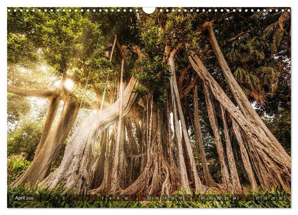 Produktbild: Die Kanarische Inseln Teneriffa, Gran Canaria und Fuerteventura (Wandkalender 2026 DIN A3 quer), CALVENDO Monatskalender