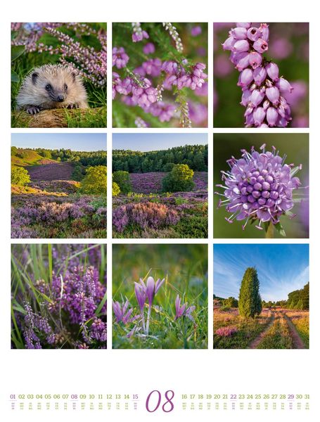 Produktbild: Inspiration Natur Kalender 2027