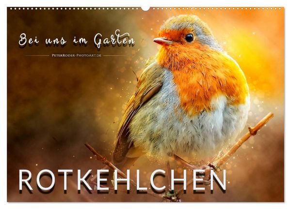 Produktbild: Bei uns im Garten - Rotkehlchen (Wandkalender 2026 DIN A2 quer), CALVENDO Monatskalender