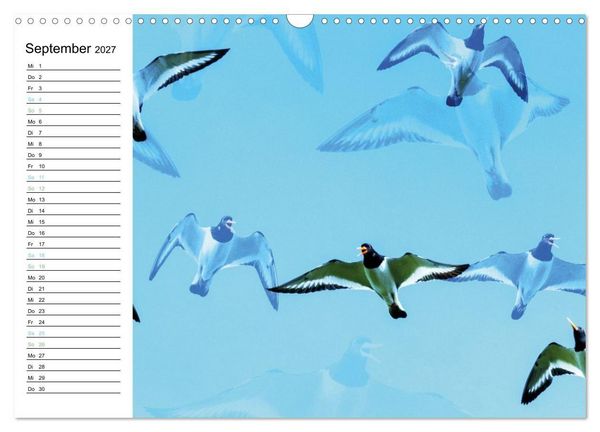 Produktbild: Fan&oslash; - Mit k&uuml;nstlerischem Auge betrachtet (Wandkalender 2027 DIN A3 quer), CALVENDO Monatskalender