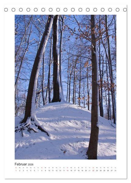 Produktbild: Impressionen aus unserem Wald (Tischkalender 2026 DIN A5 hoch), CALVENDO Monatskalender