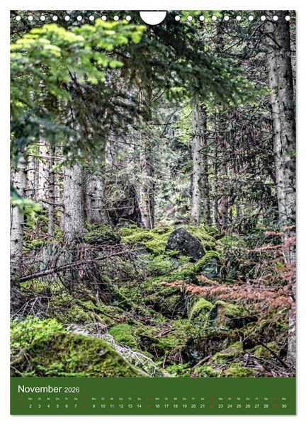 Produktbild: Schwarzwald Nord (Wandkalender 2026 DIN A4 hoch), CALVENDO Monatskalender