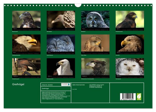 Produktbild: Greifv&ouml;gel (Wandkalender 2026 DIN A3 quer), CALVENDO Monatskalender