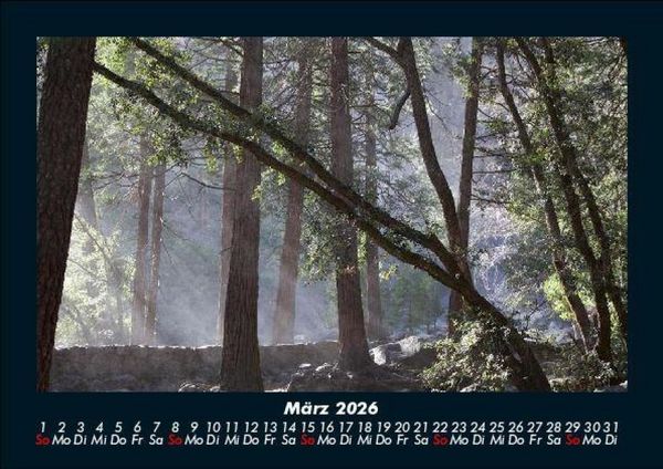 Produktbild: Bilder der Natur 2026 Fotokalender DIN A5