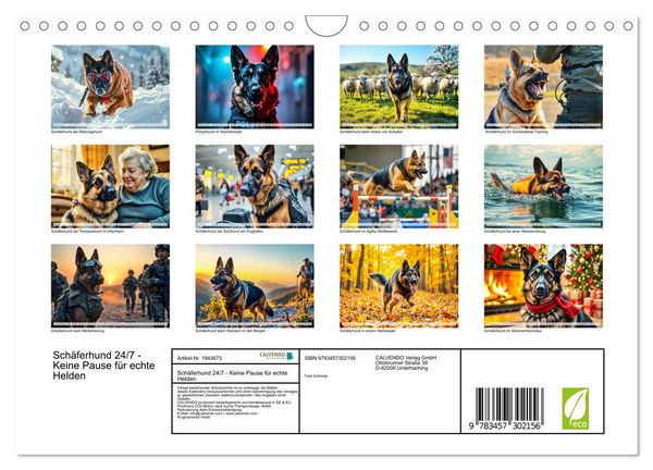Produktbild: Sch&auml;ferhund 24/7 - Keine Pause f&uuml;r echte Helden (Wandkalender 2026 DIN A4 quer), CALVENDO Monatskalender