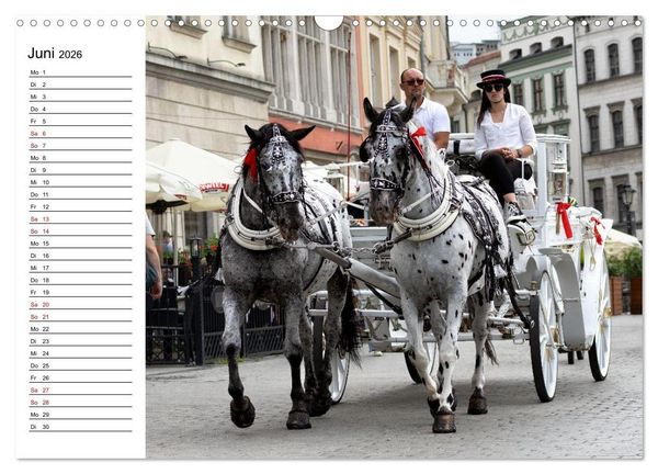 Produktbild: Besucht doch mal Krakau (Wandkalender 2026 DIN A3 quer), CALVENDO Monatskalender