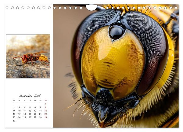 Produktbild: Facettenaugen - Meisterwerke der Natur (Wandkalender 2026 DIN A4 quer), CALVENDO Monatskalender