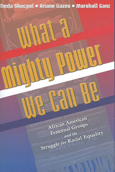 Produktbild: What a Mighty Power We Can Be: African American Fraternal Groups and the Struggle for Racial Equality