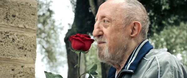 Produktbild: F&uuml;r dich soll's ewig Rosen geben