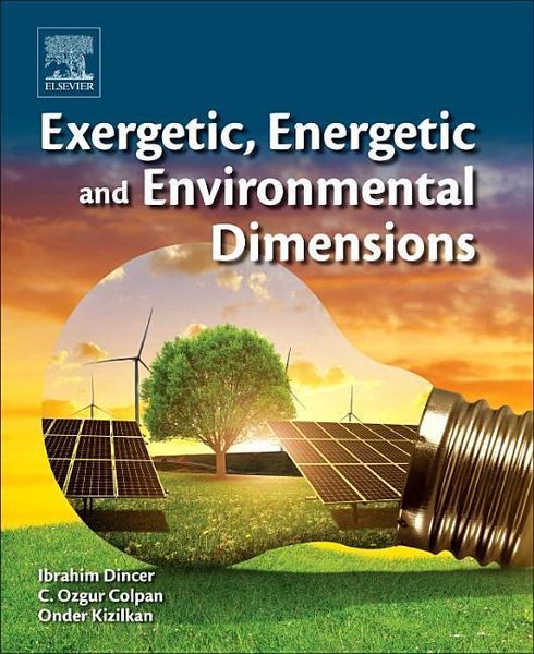 Produktbild: Exergetic, Energetic and Environmental Dimensions