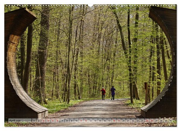 Produktbild: Der Hainich in Th&uuml;ringen - Weltnaturerbe (Wandkalender 2026 DIN A2 quer), CALVENDO Monatskalender