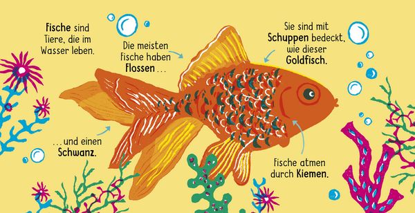 Produktbild: 50 W&ouml;rter &uuml;ber die Natur - Tiere