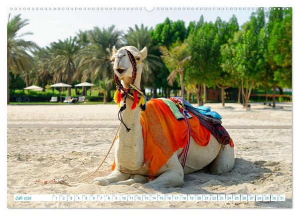 Produktbild: Atemraubendes Abu Dhabi - Idylle am Persischen Golf (Wandkalender 2026 DIN A2 quer), CALVENDO Monatskalender