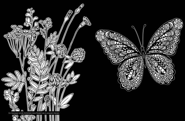 Produktbild: Black Edition: Bl&uuml;ten und Schmetterlinge