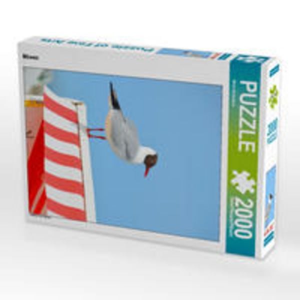 CALVENDO Puzzle Möwen 2000 Teile Lege-Größe 67 x 90 cm Foto-Puzzle Bild von Nina Schwarze