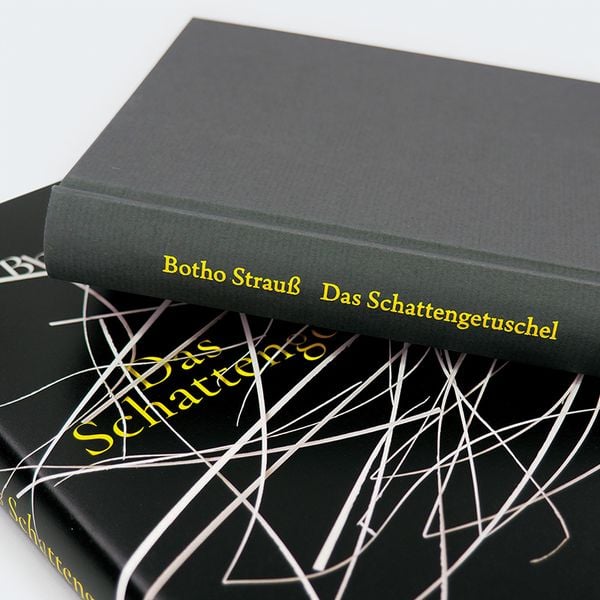Produktbild: Das Schattengetuschel