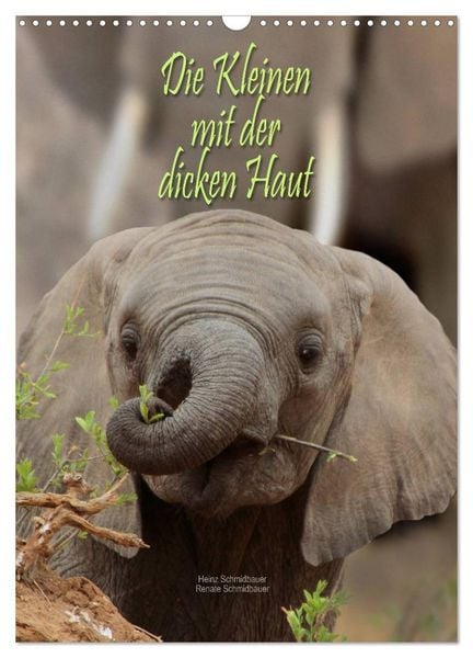 Produktbild: Die Kleinen mit der dicken Haut (Wandkalender 2026 DIN A3 hoch), CALVENDO Monatskalender