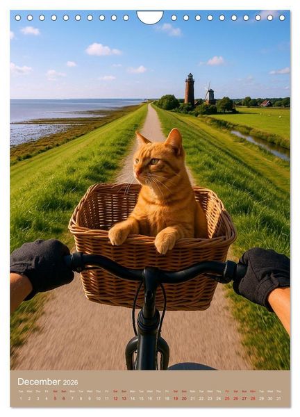 Produktbild: Cycling in Germany (Wall Calendar 2026 DIN A4 portrait), CALVENDO 12 Month Wall Calendar