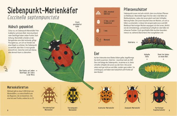 Produktbild: Frisch geschl&uuml;pft! - Tiere und ihre Eier