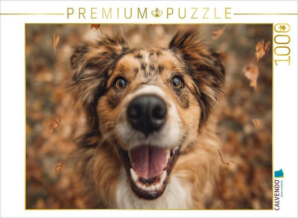 CALVENDO Puzzle Herbstglück auf vier Pfoten | 1000 Teile Lege-Größe 64 × 48 cm Foto-Puzzle für glückliche Stunden