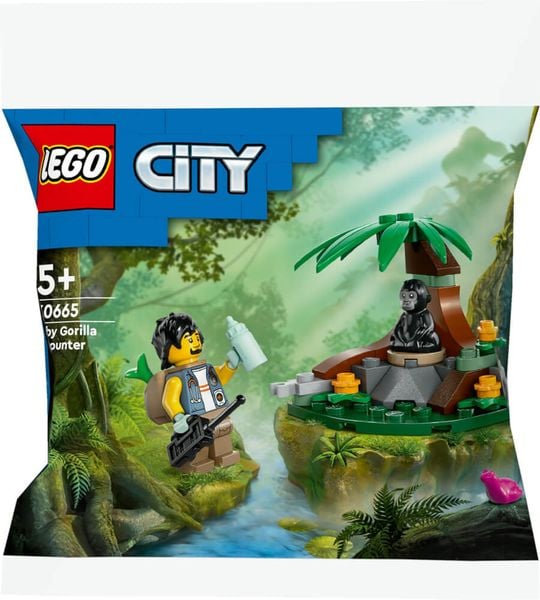 LEGO LEGO City 30665