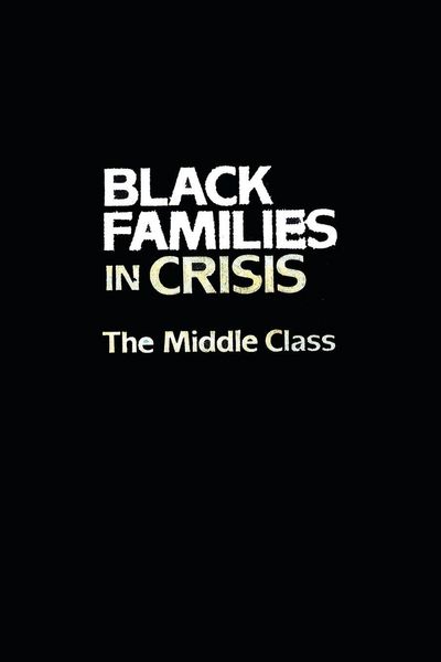 Produktbild: Black Families In Crisis