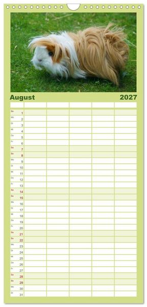 Produktbild: Familienplaner 2027 - Kuschelige Meerschweinchen mit 5 Spalten (Wandkalender, 21 x 45 cm) CALVENDO