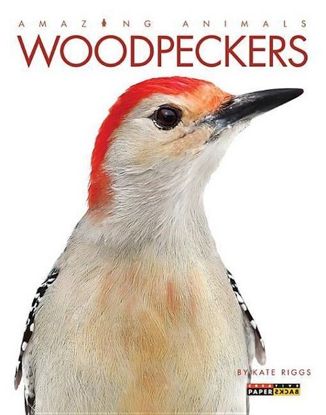 Produktbild: Woodpeckers