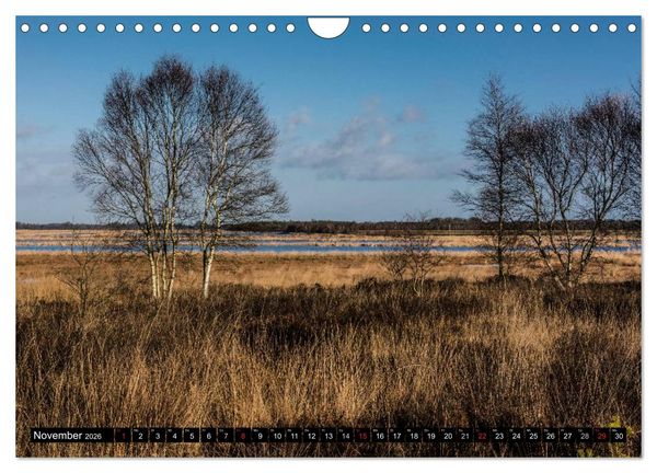 Produktbild: Worpswede - K&uuml;nstlerdorf unter weitem Himmel (Wandkalender 2026 DIN A4 quer), CALVENDO Monatskalender