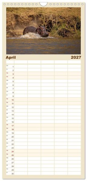 Produktbild: Familienplaner 2027 - Hippos - Gef&auml;hrliche Giganten mit 5 Spalten (Wandkalender, 21 x 45 cm) CALVENDO