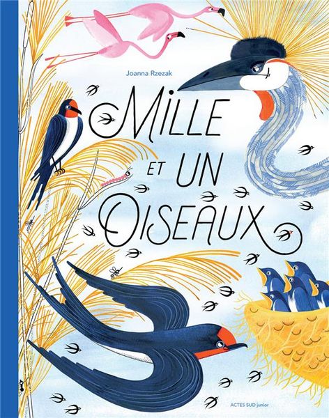 Produktbild: Mille et un oiseaux