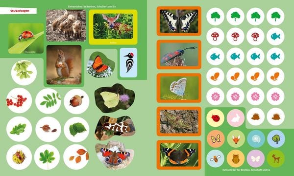 Produktbild: WAS IST WAS R&auml;tseln und Stickern: Natur