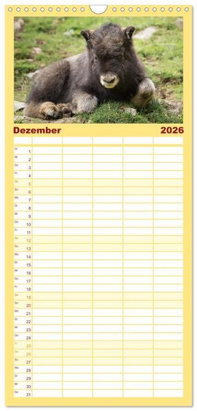 Produktbild: Familienplaner 2026 - Tierbabys 2026 mit 5 Spalten (Wandkalender, 21 x 45 cm) CALVENDO