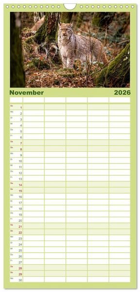 Produktbild: Familienplaner 2026 - Der Luchs - Begegnungen mit einer Raubkatze mit 5 Spalten (Wandkalender, 21 x 45 cm) CALVENDO
