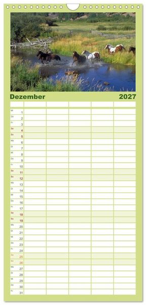 Produktbild: Familienplaner 2027 - Wilde Pferde &bull; Mustangs in USA mit 5 Spalten (Wandkalender, 21 x 45 cm) CALVENDO