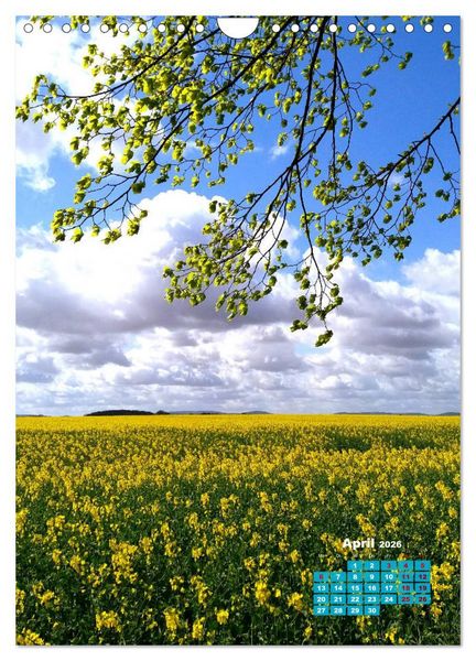 Produktbild: Stille der Natur (Wandkalender 2026 DIN A4 hoch), CALVENDO Monatskalender