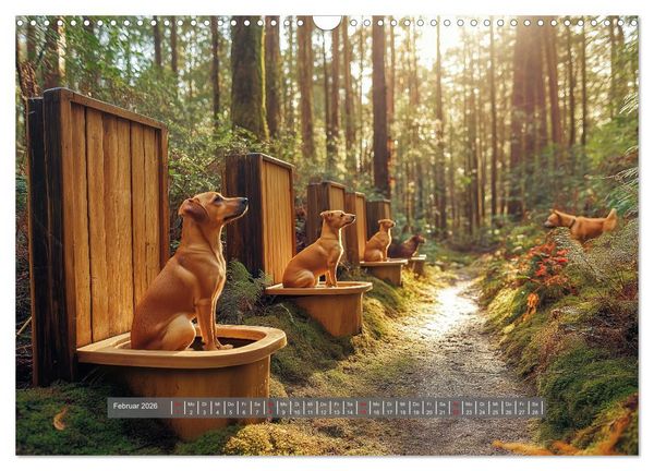 Produktbild: Sitz, Platz, Sp&uuml;l - Hunde auf dem Thron (Wandkalender 2026 DIN A3 quer), CALVENDO Monatskalender