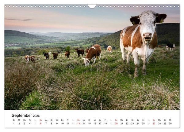 Produktbild: Naturerlebnis im Biosph&auml;renreservat Rh&ouml;n (Wandkalender 2026 DIN A3 quer), CALVENDO Monatskalender
