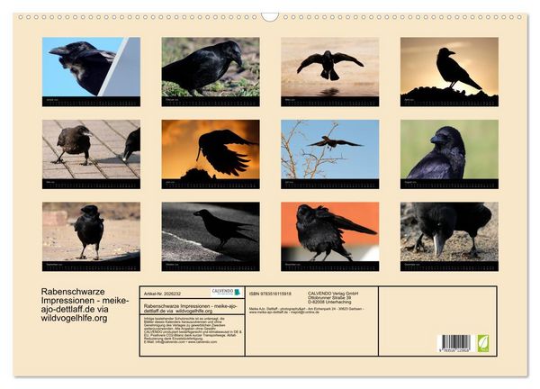 Produktbild: Rabenschwarze Impressionen - meike-ajo-dettlaff.de via wildvogelhlfe.org (Wandkalender 2026 DIN A2 quer), CALVENDO Monatskalender