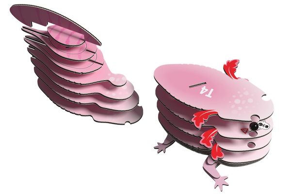 Produktbild: EUGY - 3D Bastelset Axolotl