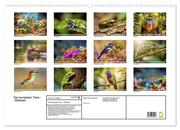 Produktbild: Die buntesten Tiere - Weltweit (Wandkalender 2027 DIN A2 quer), CALVENDO Monatskalender