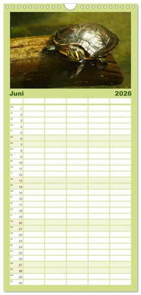Produktbild: Familienplaner 2026 - Das Leben der Schildkr&ouml;ten mit 5 Spalten (Wandkalender, 21 x 45 cm) CALVENDO