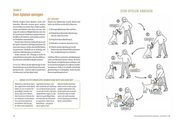 Produktbild: Spielerische Hundeerziehung