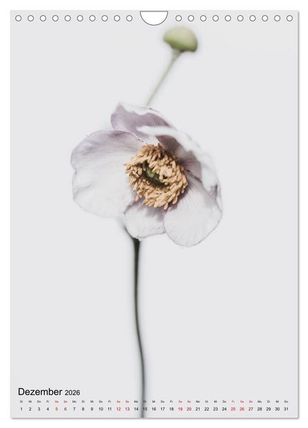 Produktbild: Pure Flowers (Wandkalender 2026 DIN A4 hoch), CALVENDO Monatskalender