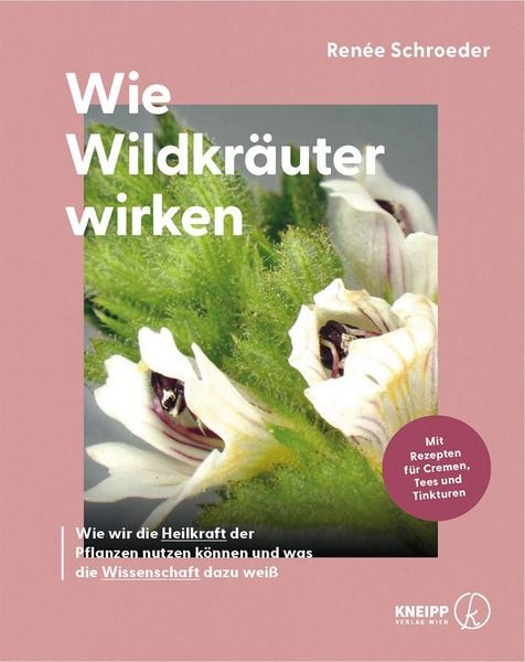 Produktbild: Wie Wildkr&auml;uter wirken