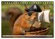 Thumbnail-8