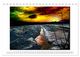 Thumbnail-14