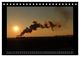 Thumbnail-13