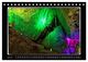 Thumbnail-8
