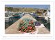 Thumbnail-8